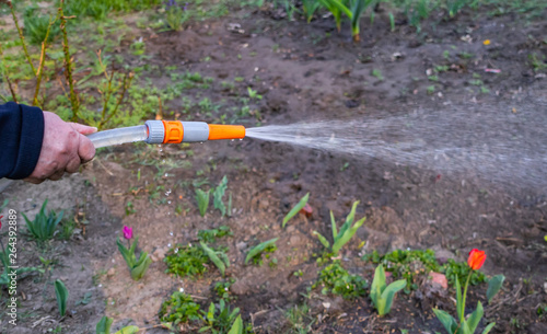 Watering flowers in the garden with a watering tool