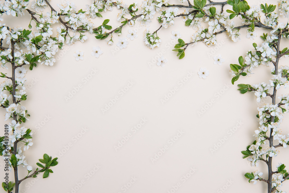 photo of spring white cherry blossom tree on pastel background. View from above, flat lay, copy space. Spring and summer background. photo of spring white cherry blossom tree on pastel background. View from above, flat lay, copy space. Spring and summer background.