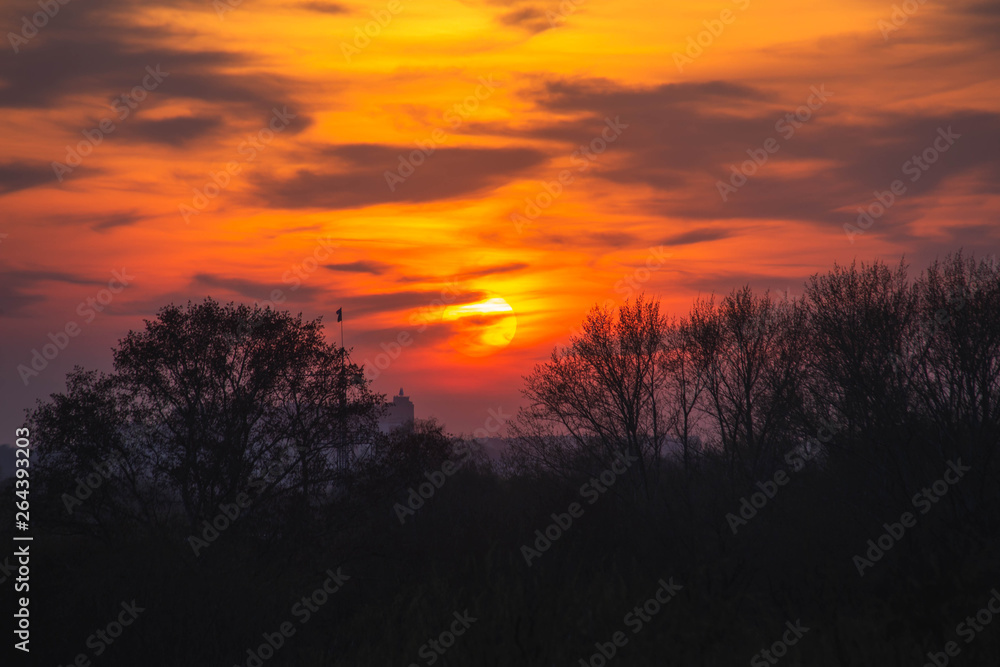 bright orange sunset over the forest