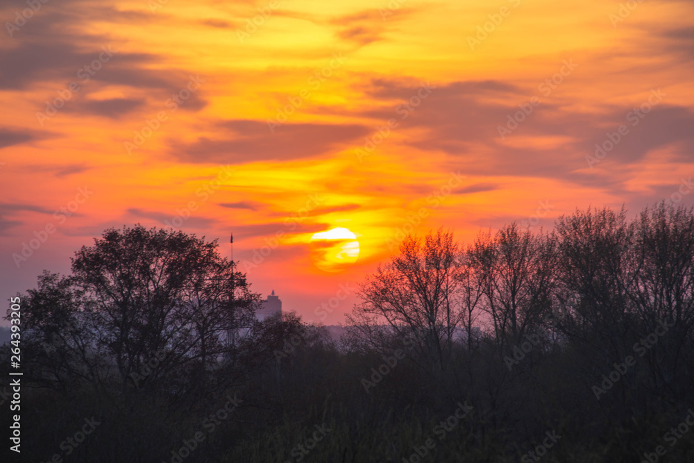 bright orange sunset over the forest bright orange sunset over the forest