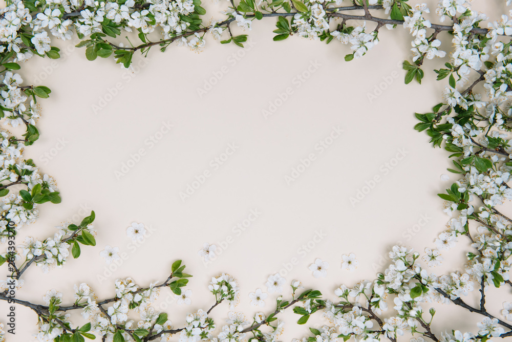 Spring nature background with lovely blossom in yellow pastel color, top view, banner. Springtime concept Spring nature background with lovely blossom in yellow pastel color, top view, banner. Springtime concept