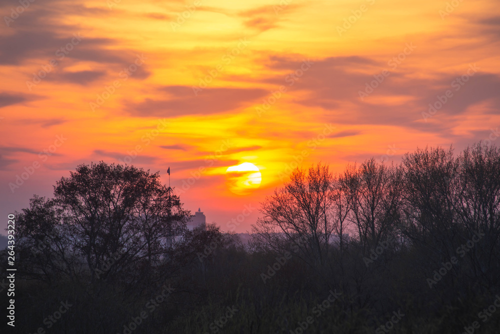 bright orange sunset over the forest bright orange sunset over the forest