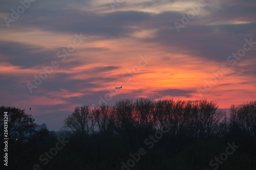 bright orange sunset over the forest