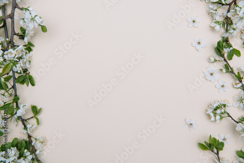 photo of spring white cherry blossom tree on pastel background. View from above, flat lay, copy space. Spring and summer background. © Serhii