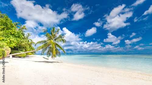 Fototapeta Naklejka Na Ścianę i Meble -  Beautiful tropical beach banner. White sand and coco palms travel tourism wide panorama background concept. Amazing beach landscape - Image