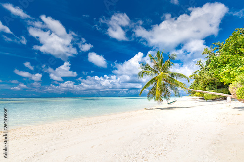 Beautiful tropical beach banner. White sand and coco palms travel tourism wide panorama background concept. Amazing beach landscape - Image © icemanphotos