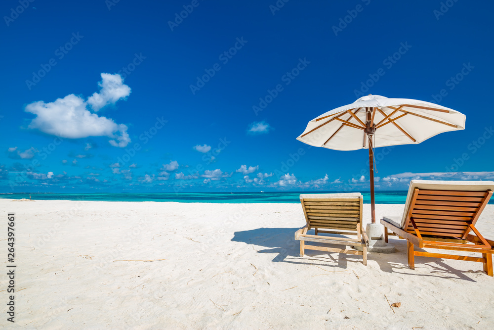 Tranquil scenery, relaxing beach, tropical landscape design. Summer vacation travel holiday design. Tropical beach background as summer landscape with lounge chairs and palm trees and calm sea