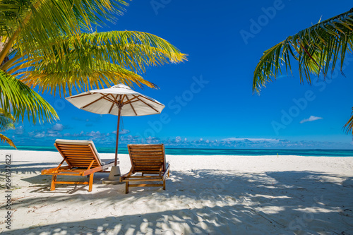 Tropical beach background as summer landscape with lounge chairs and palm trees and calm sea for beach banner. Luxury resort or hotel, summer vacation holiday concept