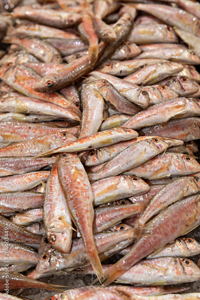 Salmonetes frescos a la venta. Salmonetes frescos a la venta.