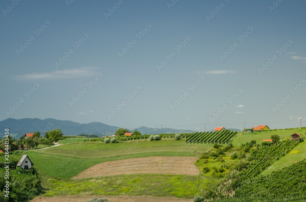 Fototapeta premium Green hills