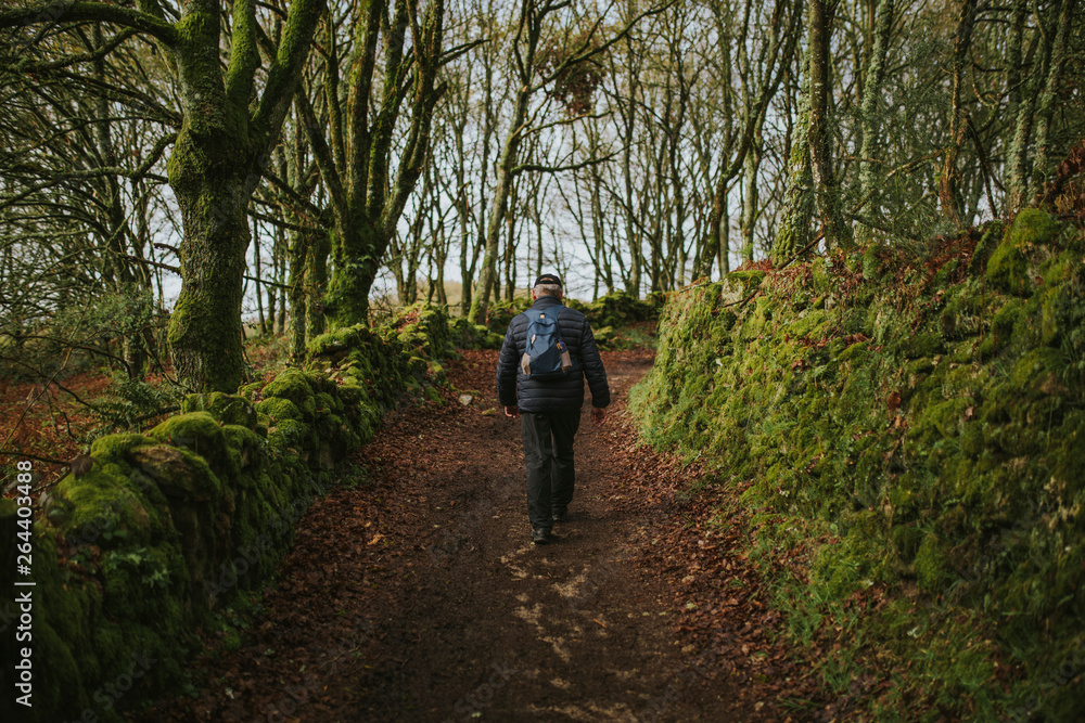 Senior man in his back crossing the forest in the Camino de Santiago way, in Spain.