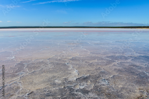 Salt lagoon,Dunaliella salina coloration, La Pampa, Argentina
