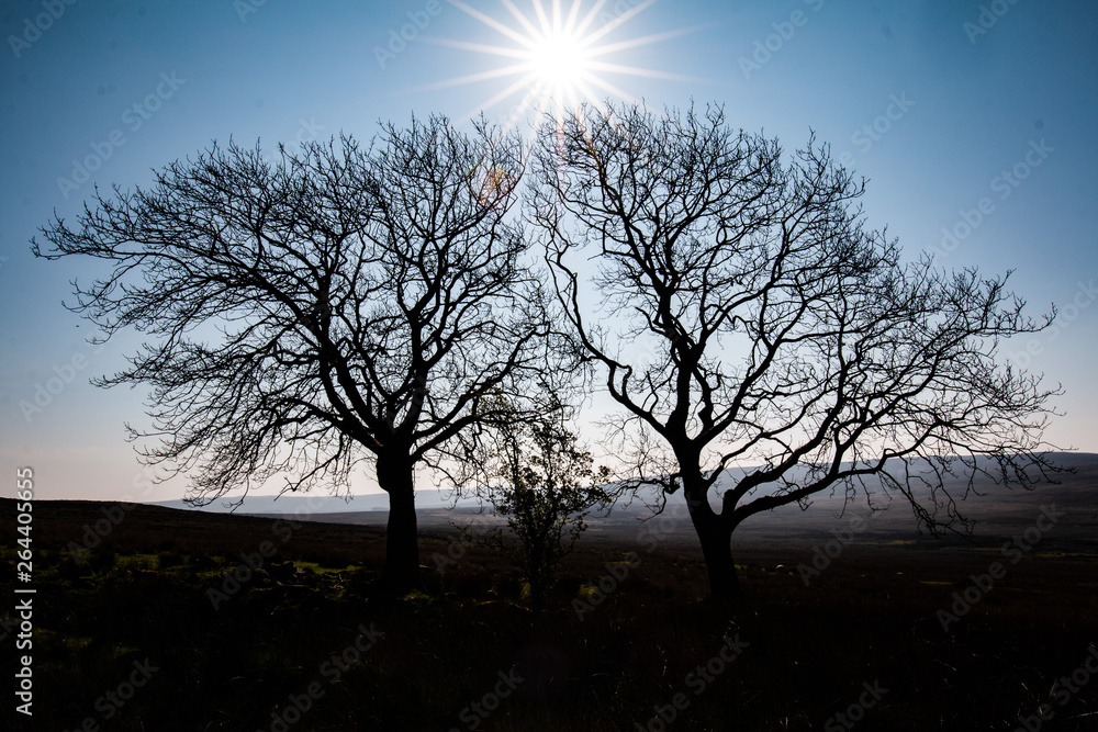 Slemish Mountain