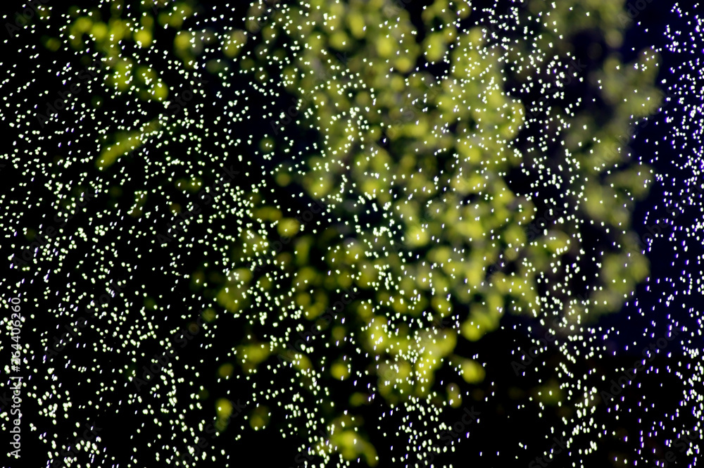 Nahaufnahme von Wassertropfen eins Rasensprenger Nahaufnahme von Wassertropfen eins Rasensprenger