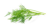 Fresh dill isolated on white background.