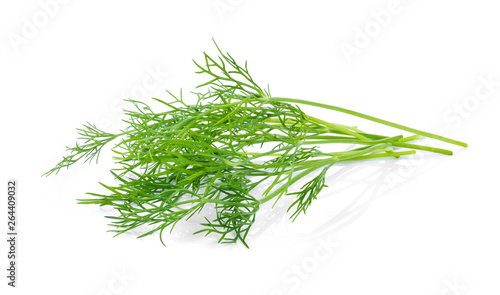 Fresh dill isolated on white background.