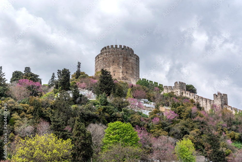 Rumeli Fortress or Bogazkesen Castle