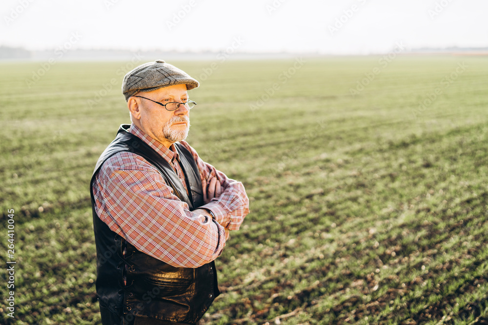 Adult farmer checking plants on his farm. Adult farmer checking plants on his farm.