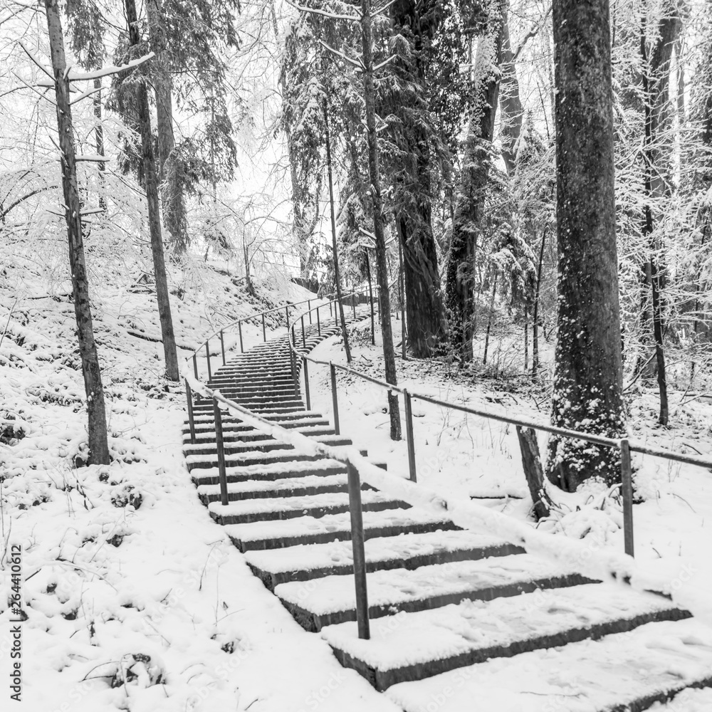 Stairs in winter park