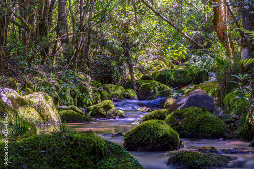 Multiple exposure of different spots of a ravine with rocks covered in moss at the highlands of Iguaque  at the center of the Colombian Andes.
