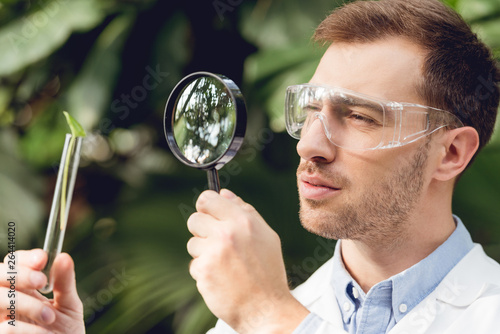Obraz na płótnie handsome scientist in white coat and goggles looking at flask with plant sample