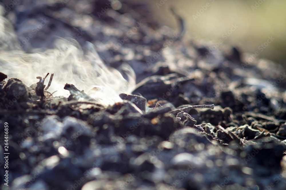 Smoke and ashes of bonfire long exposure. close-up macro. Smoke and ashes of bonfire long exposure. close-up macro.