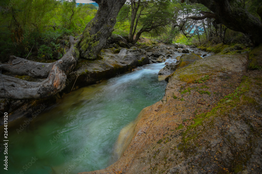 river in the forest river in the forest