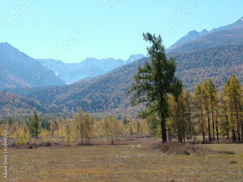 autumn in the mountains