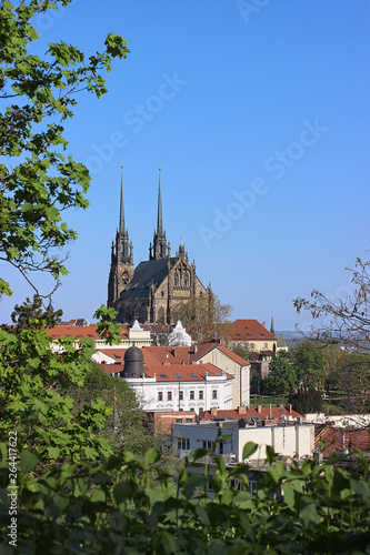 Cathedral of Saints Peter and Paul in Brno in the Czech Republic