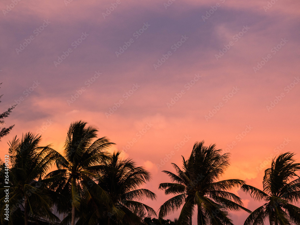 Silhouettes Palms trees on the beautiful sunset background. Coconut trees against pink sky. Palm trees at tropical coast. Beautiful sunset
