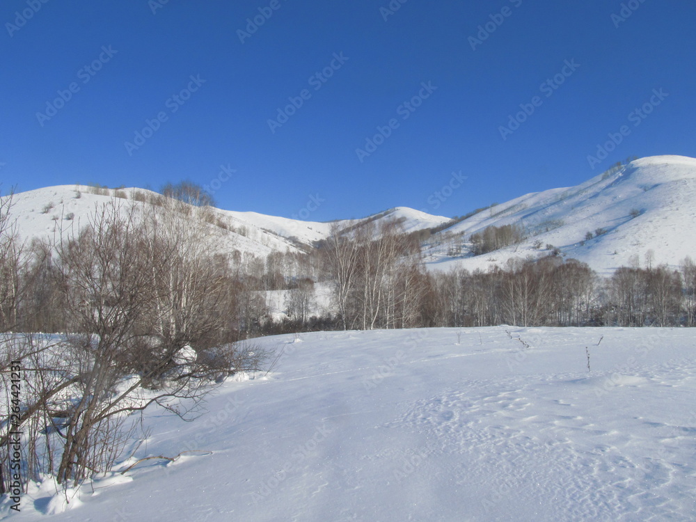 Obraz premium winter in the mountains