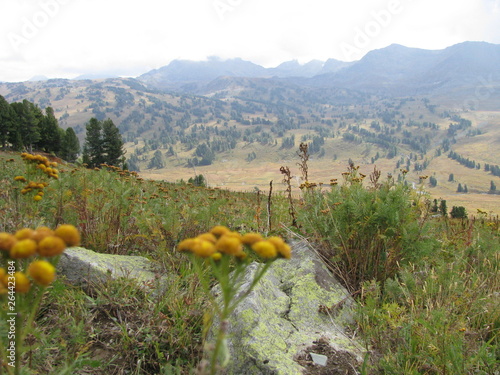 landscape in the mountains