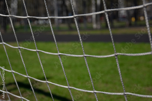 Football Soccer Goal. On the background of green grass. For design In the media Advertising