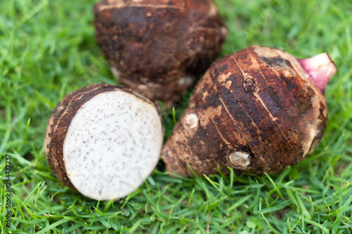 Close up taro root with sliced on green grass