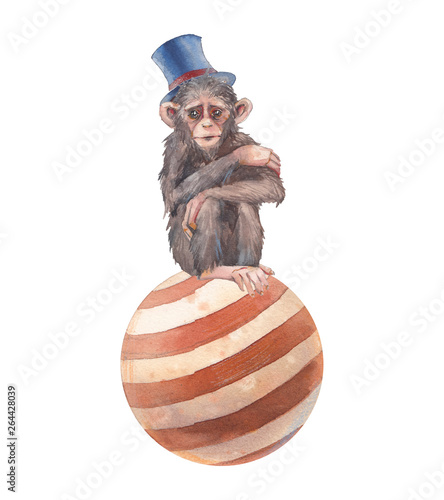 Photography Watercolor circus monkey illustration