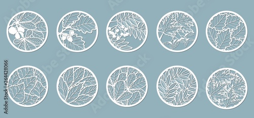 Set. Leaves, Oak, maple, Rowan, chestnut, berries, acorn, seeds, birch, ash. Templates in the form of circles. Abstract circles, balls. Vector illustration of a laser cutting. Plotter cutting 