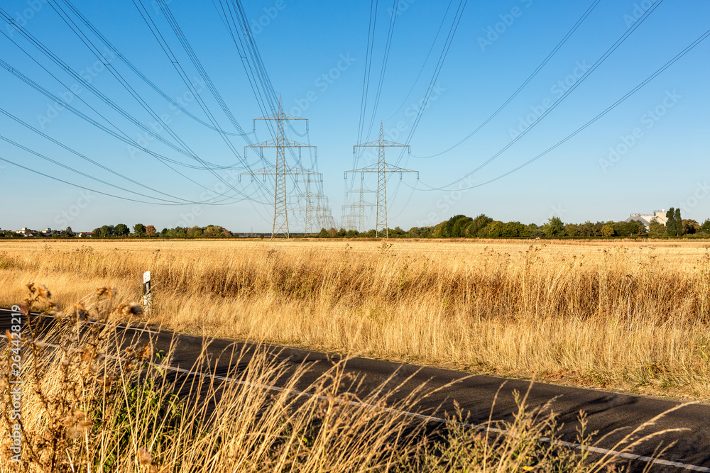 Obraz premium Überlandleitung über eine asphaltierte Straße, die von goldenen Feldern umgeben ist