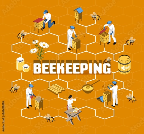 Beekeeping Isometric Flowchart