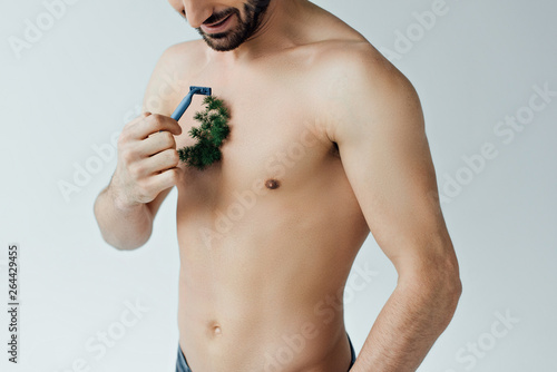 Partial view of bearded man shaving plant on chest isolated on grey