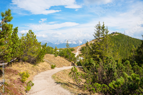 Wanderweg rund um den Wank Gipfel, Region Garmisch, inmitten von Latschen