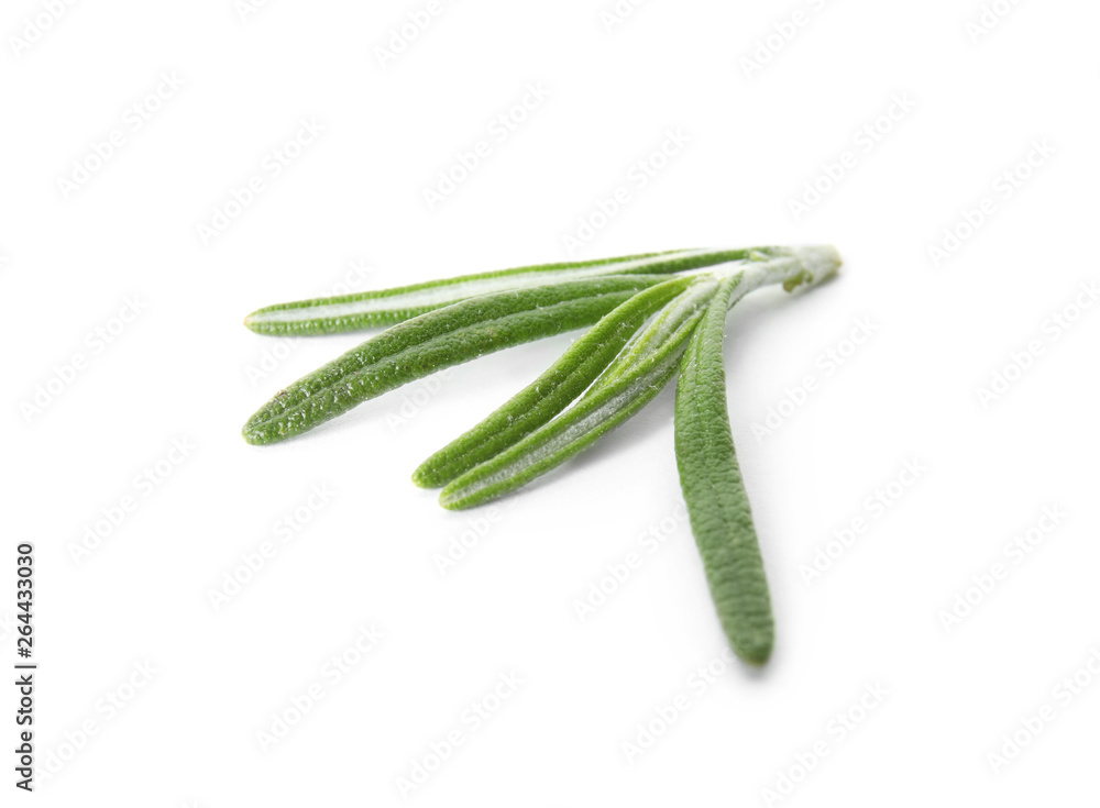 Fresh green rosemary twig on white background Fresh green rosemary twig on white background