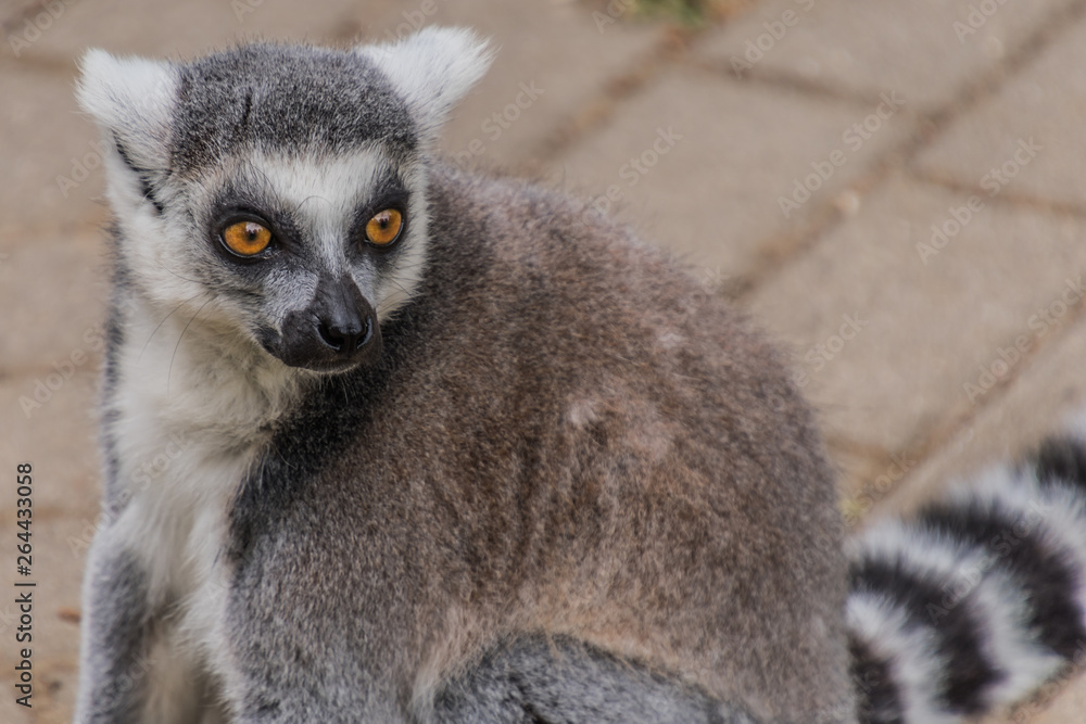 Tierpark Wismar Tierpark Wismar
