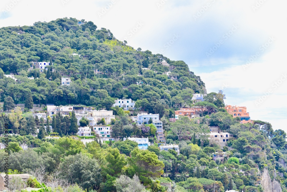 Traditional Buildings on Hillside of Capri Island