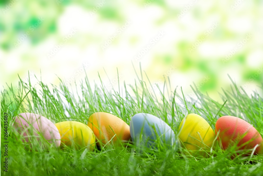 Fototapeta premium Easter.