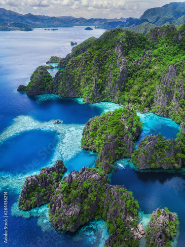 Coron Island, Palawan, Philippines, Aerial View of Lagoons and Limestone Cliffs photo