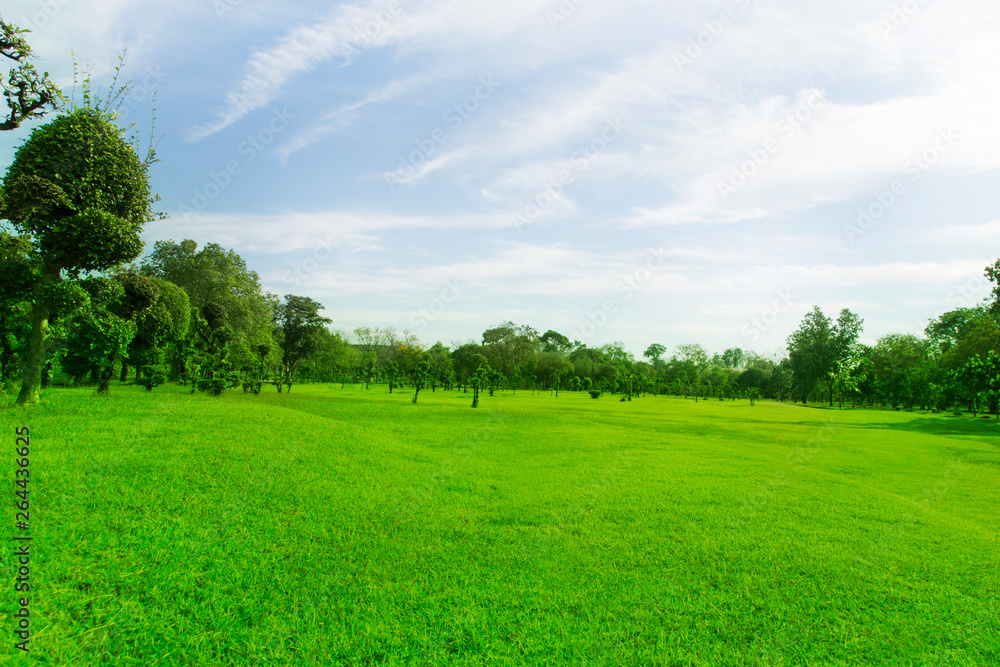 Green trees and gardens Beautiful light in the morning Green trees and gardens Beautiful light in the morning