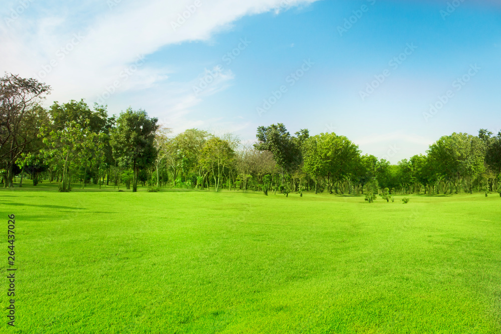 Green trees and gardens Beautiful light in the morning Green trees and gardens Beautiful light in the morning
