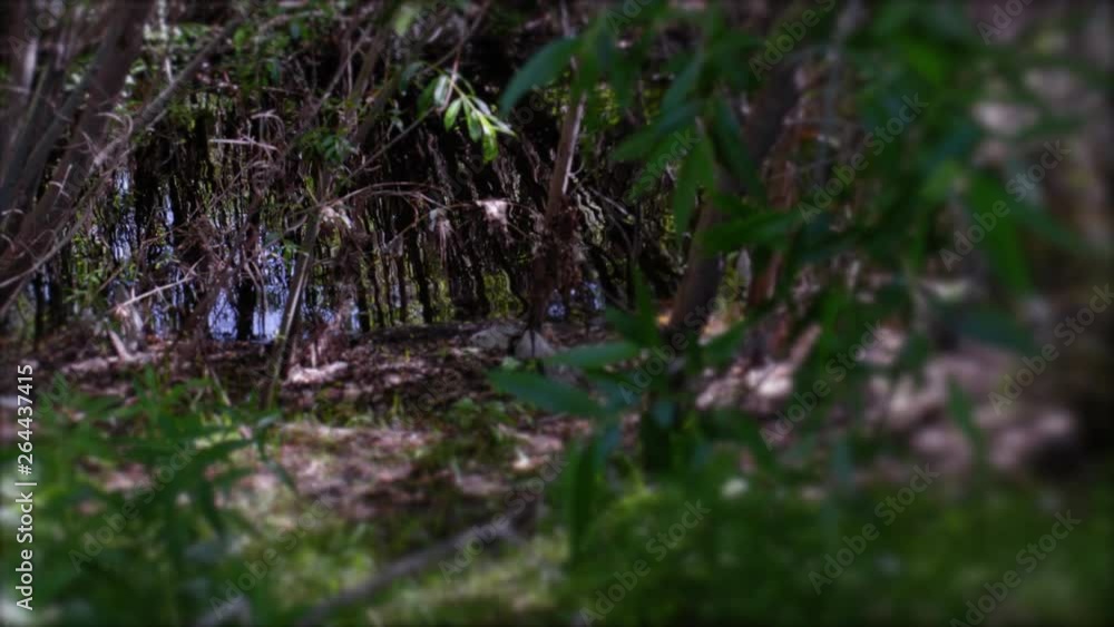 URBAN STREAM, WITH SOFT FOCUS, SLIDER SHOT. IN 4K, LOG, 10 BIT. NO PEOPLE. URBAN STREAM, WITH SOFT FOCUS, SLIDER SHOT. IN 4K, LOG, 10 BIT. NO PEOPLE.