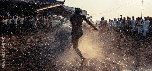 Mangalore, Karnataka, India - 13 Jan 2019: Kambala or Kambla is a rural sport, prominent in districts of Udupi and Mangalore in Karnataka, India. photo