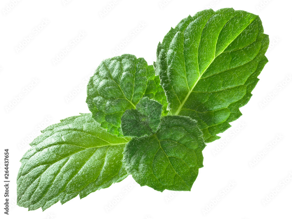 Peppermint mint m. piperita leaves, paths Peppermint mint m. piperita leaves, paths